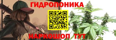 бошки Новодвинск
