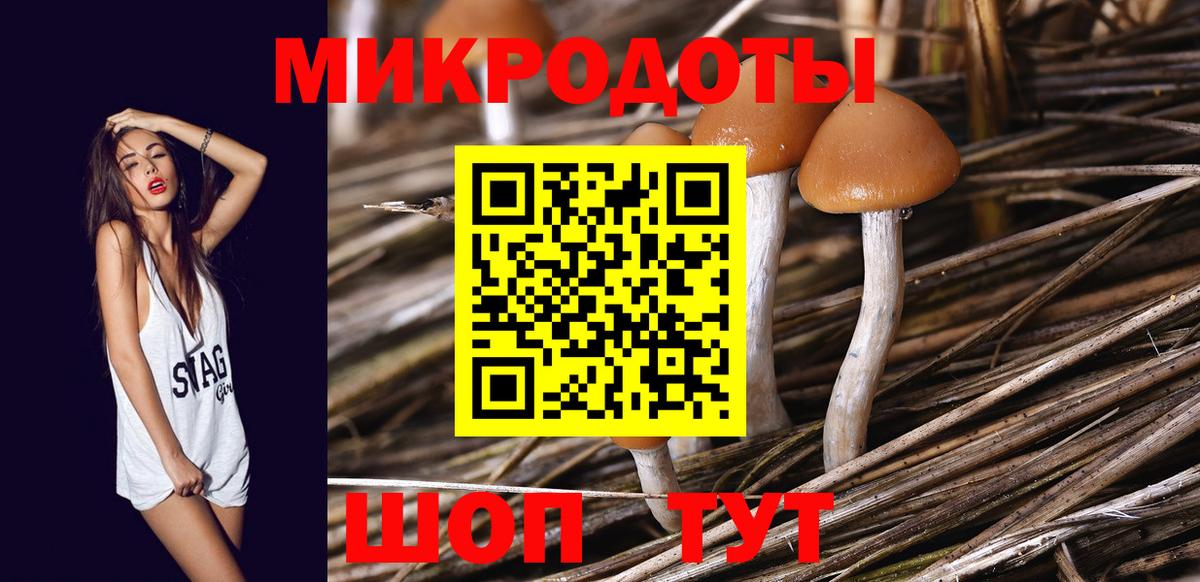 Галлюциногенные грибы мицелий Петропавловск-Камчатский