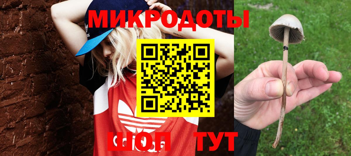 Псилоцибиновые грибы MAGIC MUSHROOMS  Галлюциногенные грибы Psilocybe  Вход с VPN  Петропавловск-Камчатский 