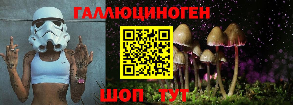 Петропавловск-Камчатский  Галлюциногенные грибы Cubensis  Вход с VPN 